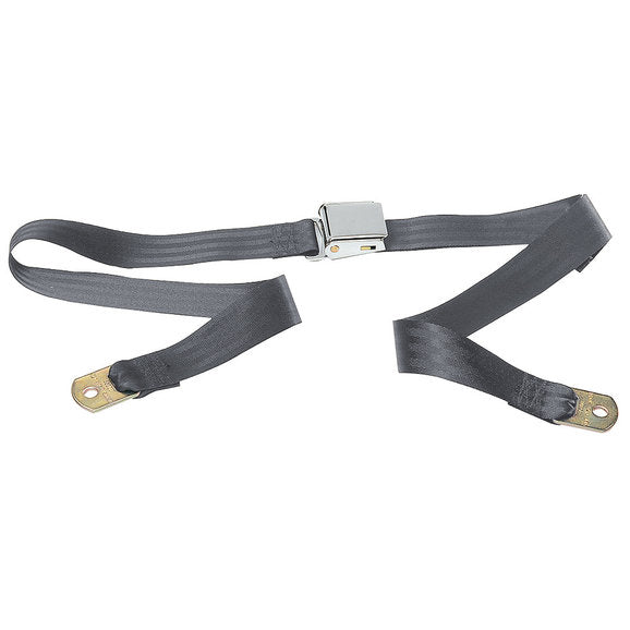 Load image into Gallery viewer, Seatbelt Solutions 2 Point Non-Retractable Lap Belt with Chrome Lift Lever Buckle
