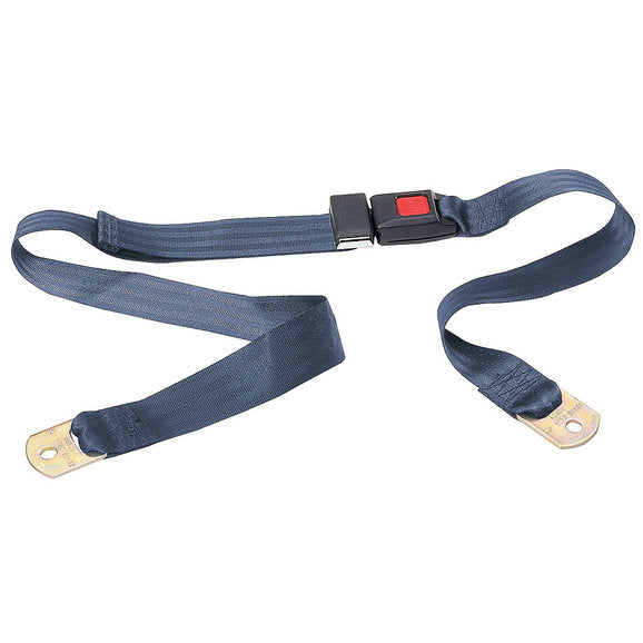 Load image into Gallery viewer, Seatbelt Solutions 2 Point Non-Retractable Lap Belt with Push-Button Buckle
