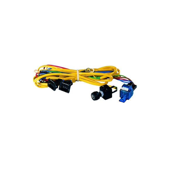 Hella 148541001 Rallye 4000 Series Wiring Harness (for 2 Lamps)