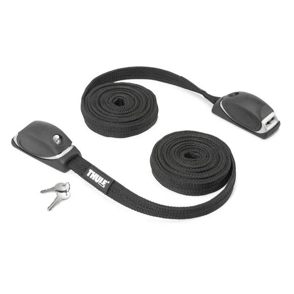 Load image into Gallery viewer, Thule Locking Straps
