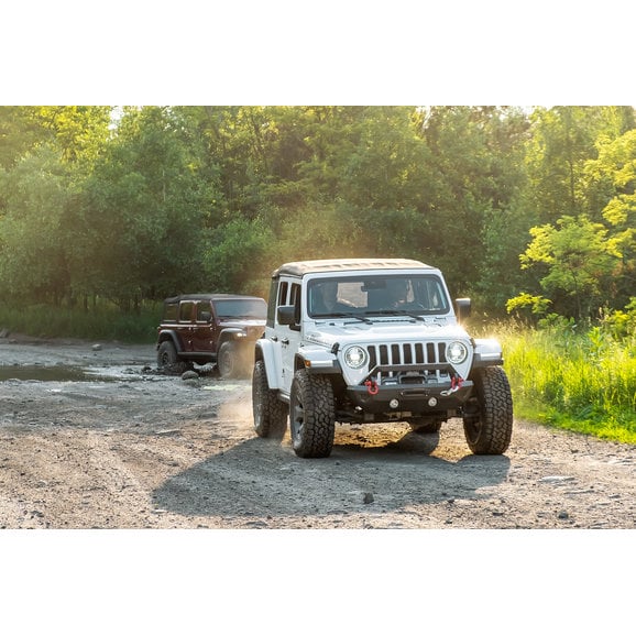 Load image into Gallery viewer, Carnivore Front Bumper for 07-24 Jeep Wrangler JK, JL &amp; Gladiator JT
