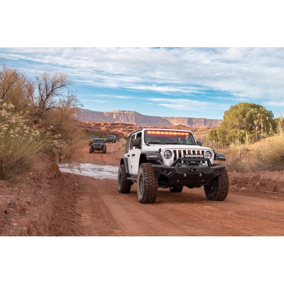 Load image into Gallery viewer, Carnivore Front Bumper for 07-24 Jeep Wrangler JK, JL &amp; Gladiator JT
