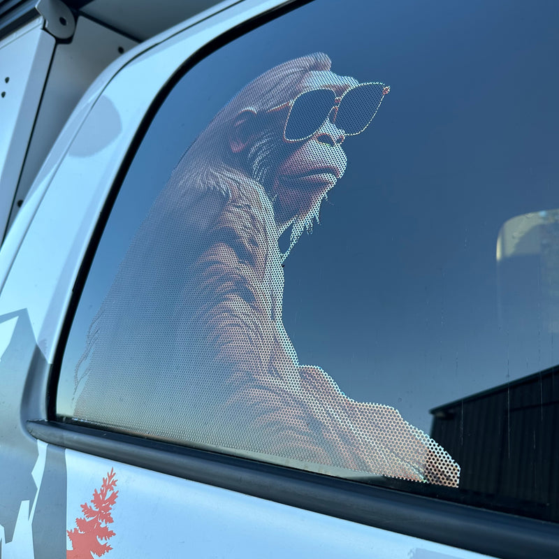 Load image into Gallery viewer, Sasquatch Ride-Alongs
