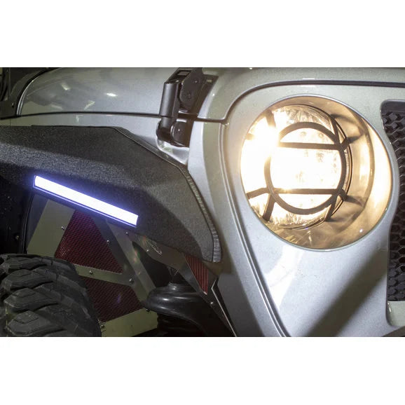 Load image into Gallery viewer, Fishbone Offroad FB21120 Headlight Guards for 18-24 Jeep Wrangler JL &amp; Gladiator JT
