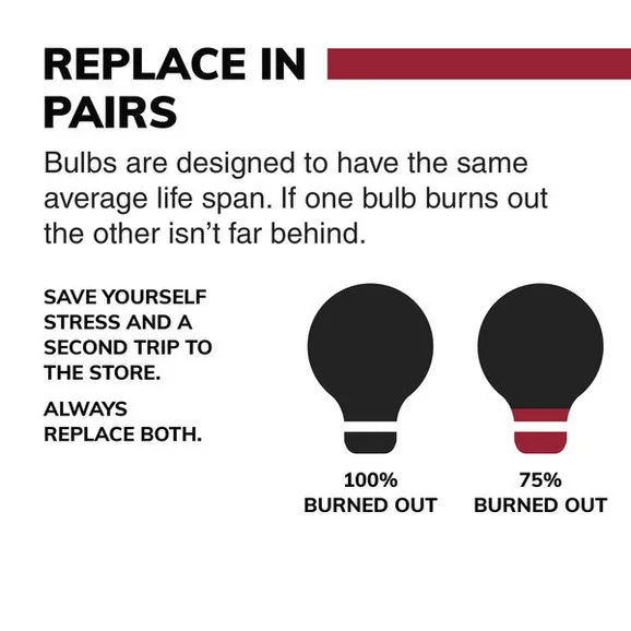 Load image into Gallery viewer, Sylvania 194BLL.BP2 #194 Long Life High Performance Incandescent Bulb 2 Pack
