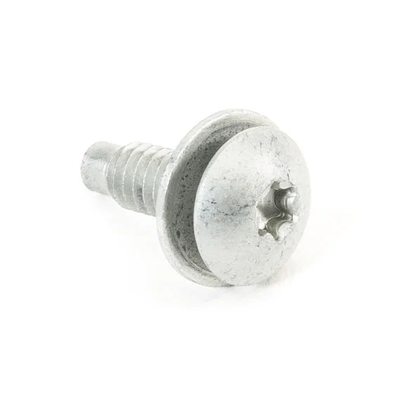 Load image into Gallery viewer, OMIX 17258.01 Dash Torx Bolt for 72-86 Jeep CJ-5, CJ-7, CJ-8 Scrambler &amp; 87-95 Wrangler YJ
