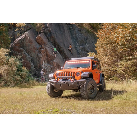 Load image into Gallery viewer, Carnivore Front Bumper for 07-24 Jeep Wrangler JK, JL &amp; Gladiator JT
