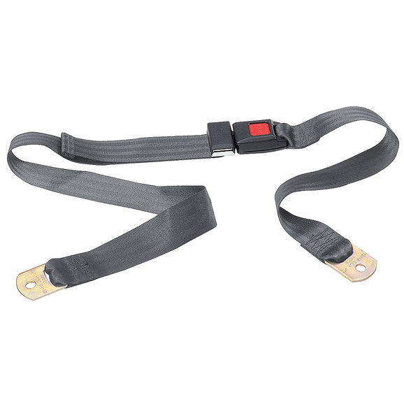 Load image into Gallery viewer, Seatbelt Solutions 2 Point Non-Retractable Lap Belt with Push-Button Buckle
